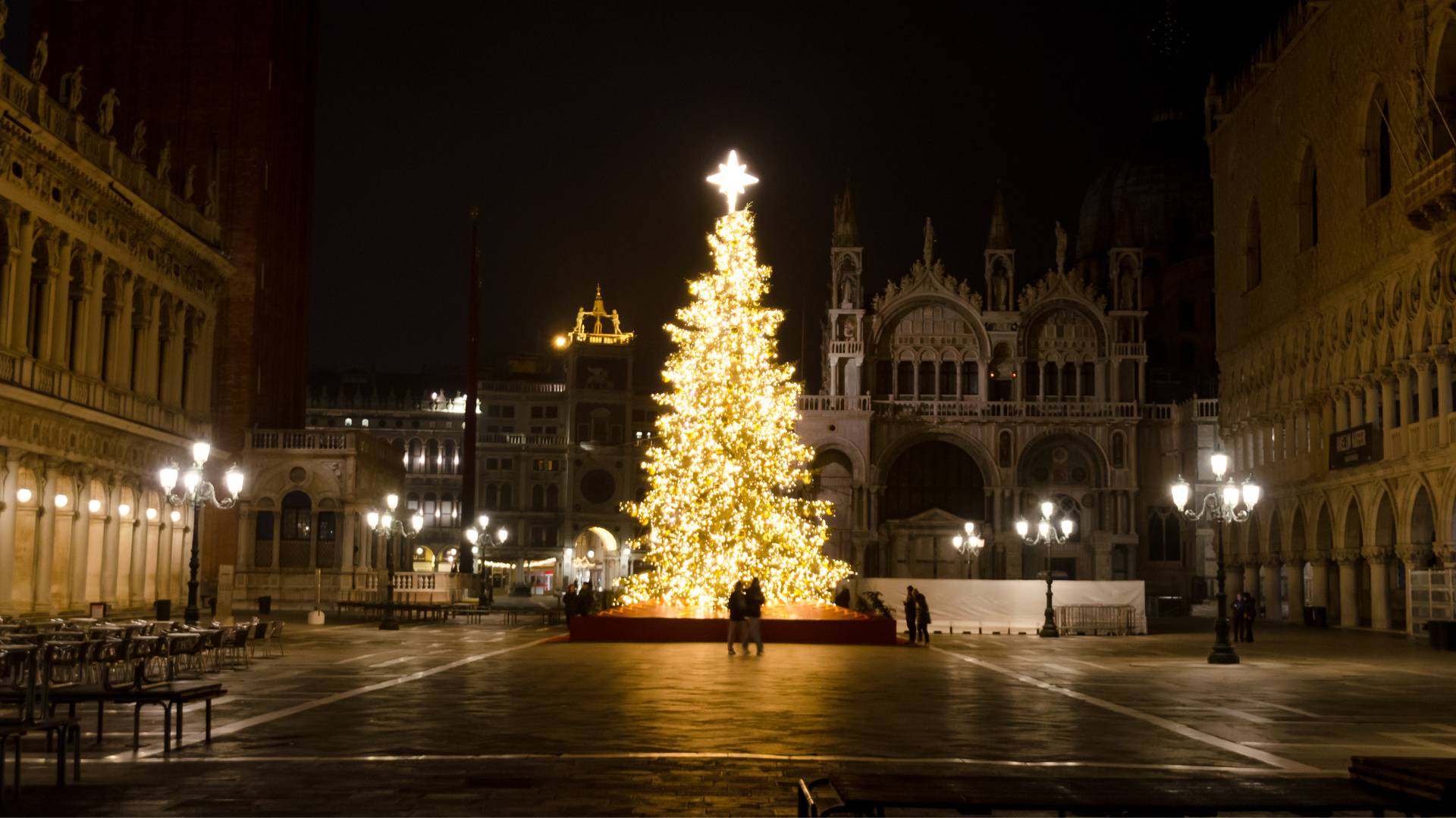 Adventskalender Beleuchteter Weihnachtsbaum im Advent auf der Piazza San Marco, Venedig