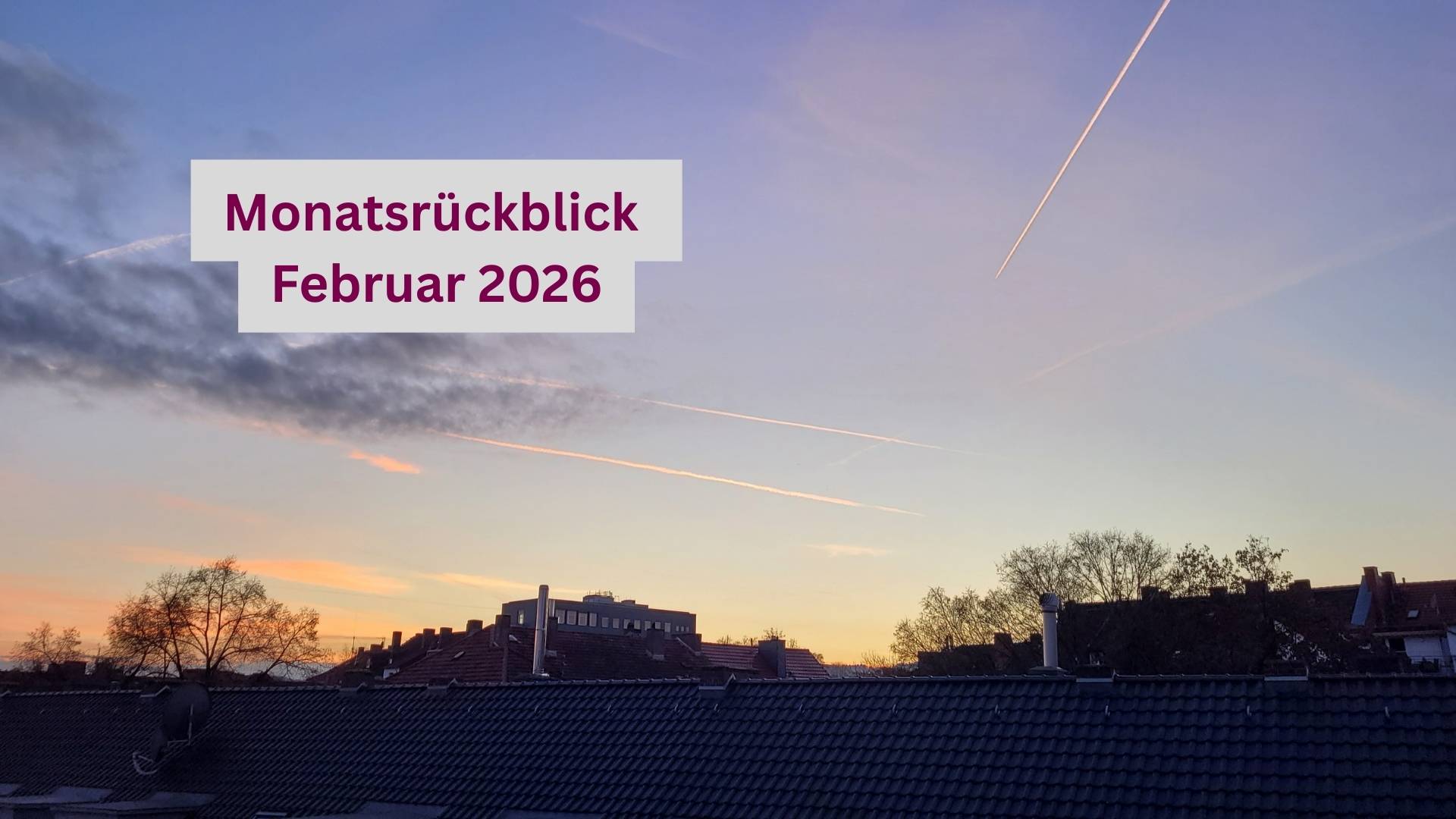 Monatsrückblick Februar 2026: Schreib-Summit, Autorennachwuchs und ein Blind Date