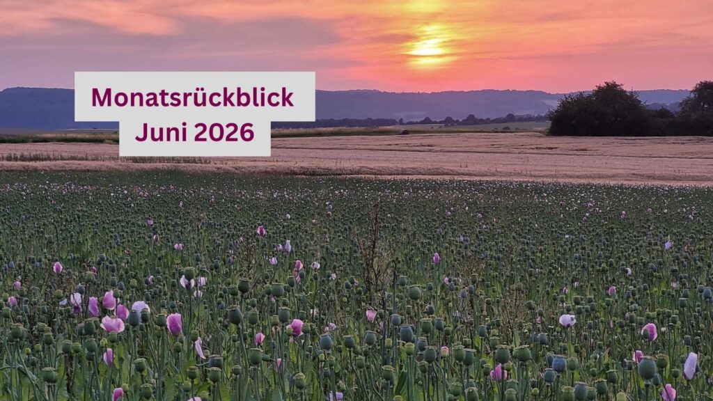 Sonnenaufgang im Mohnfeld bei Grandenborn