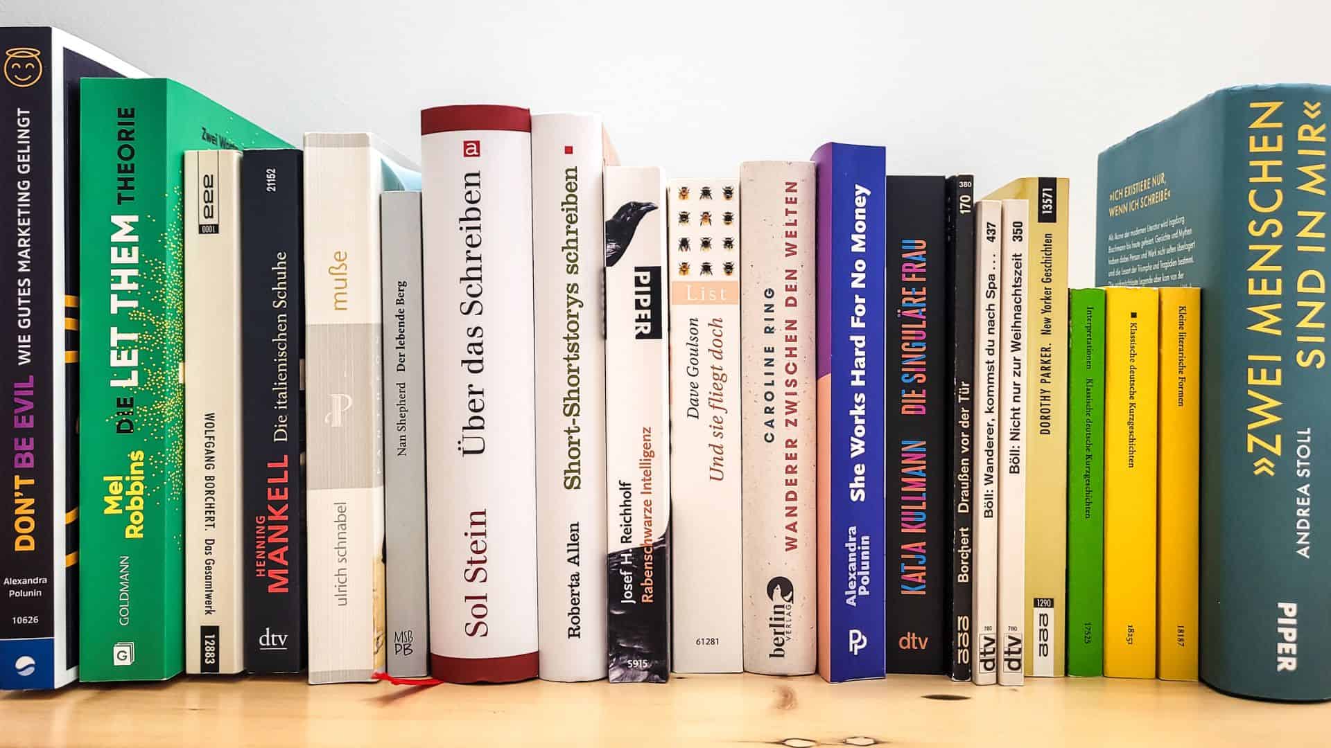 Bücherreihe im Regal als Sinnbild für den Blogartikel Lektüre 2026 mit Esthers Leseliste